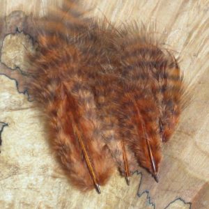Grizzly Marabou
